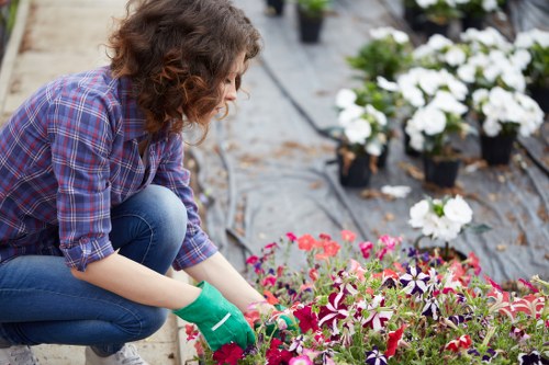 Team preparing to trim hedges in a Knightsbridge garden
