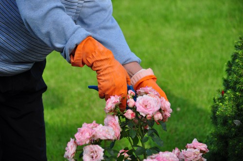In a well-maintained outdoor garden, a person wearing orange gardening gloves and a light blue jumper is in the process of trimming or tending pink roses. The background features a neatly cut green lawn with lush grass and a dense row of dark green shrubbery or small trees, which help create a structured landscaped environment. The garden appears to be in an open space with natural sunlight, highlighting the varying shades of green and pink. The surface near the roses includes soil and possibly some paving or garden edging, although these are not clearly visible. The overall setting suggests a tidy, inviting garden environment typical for residential outdoor spaces in Knightsbridge, with the gardener engaged in routine plant care, supported by local gardening services like Hedge Trimming Knightsbridge that specialise in hedge shaping and general garden maintenance.